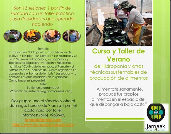 Curso y Taller de Verano Curso y Taller de Verano