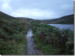 P1110701