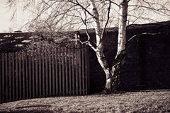 Film-19-22