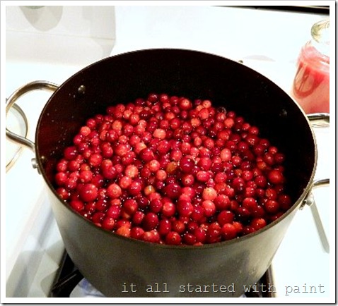 Cranberries in Pot (550x413) (2)