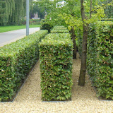Tuin voor tuinwedstrijde 022.jpg