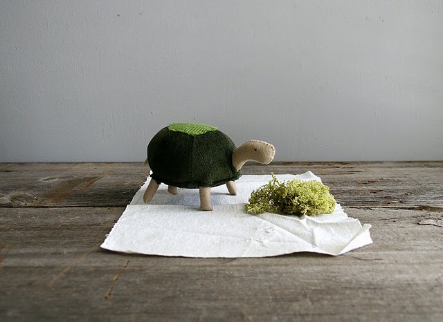 [tortoise%25201%255B4%255D.jpg]