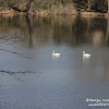 dsc06913.jpg