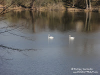 dsc06913.jpg