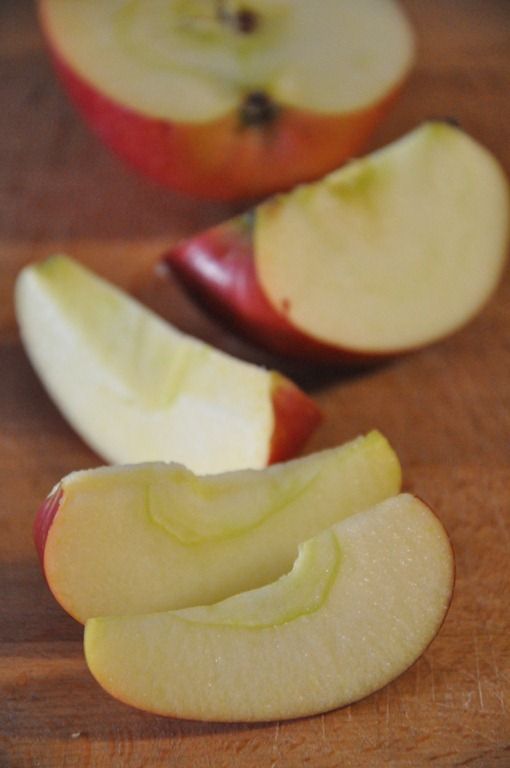 [DSC_1405%255B5%255D.jpg]