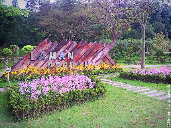 20130102_160303.jpg