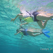  Snorkel Buck Island Reef 