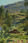 Inca trail to Cumbayo, Peru