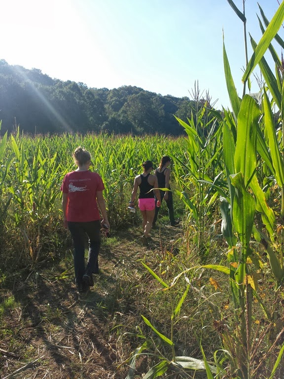 [Corn-Maze10.jpg]