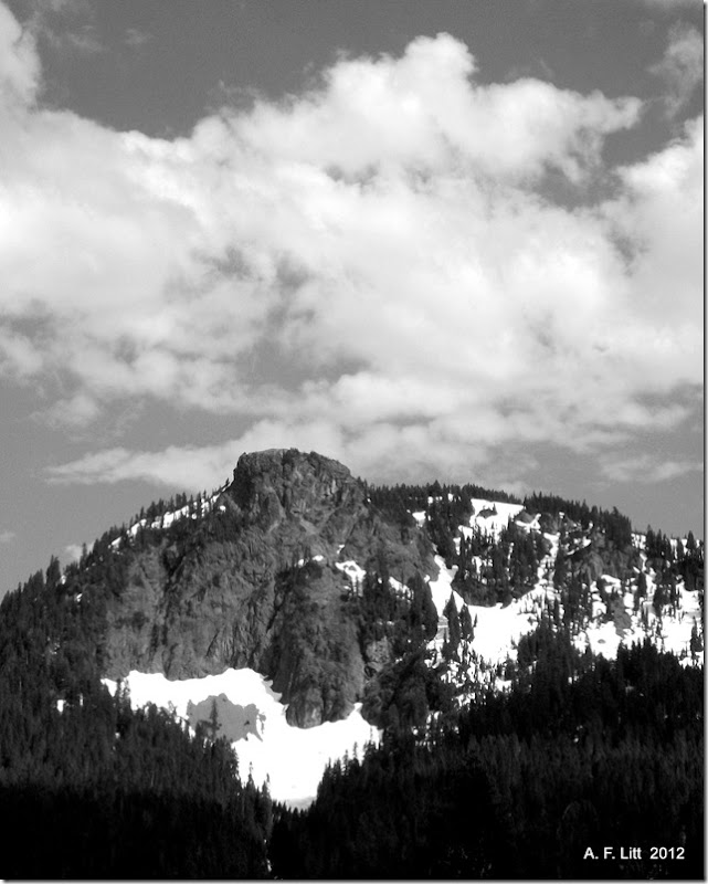 Mt. Rainier National Park, Highway 410, Washington.  July 24, 2011.  Photo of the Day, May 19, 2012.