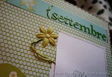 IMG_3661 IMG_3661