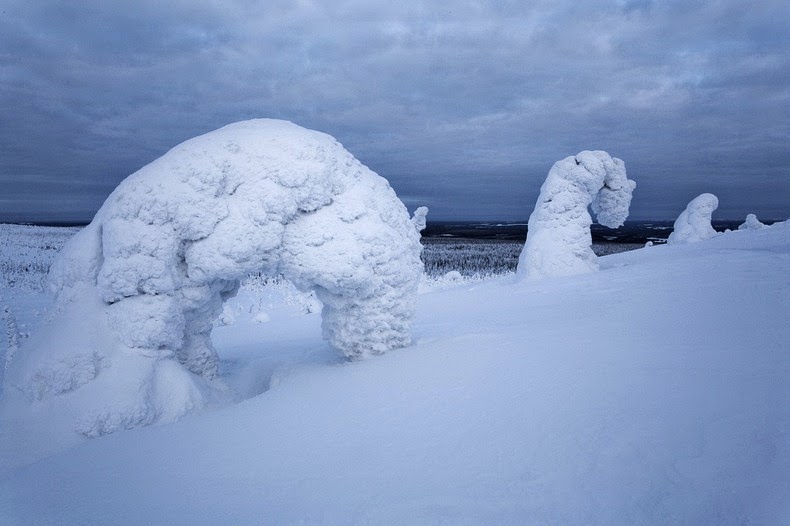 Mùa đông ở công viên Riisitunturi National, Phần Lan. Riisitunturi-tykky-2%25255B2%25255D