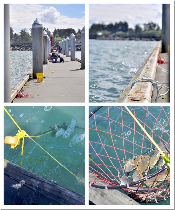 coos bay crabbing1