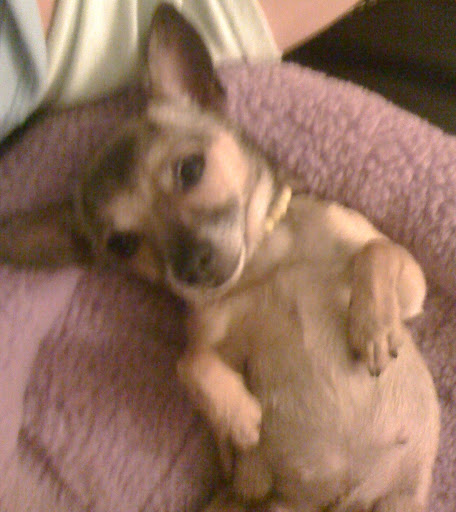 I weigh only 3 lbs and 11 oz. so I'm only little! I weigh only 3 lbs and 11 oz. so I'm only little!