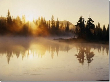naturalmirror14 naturalmirror14