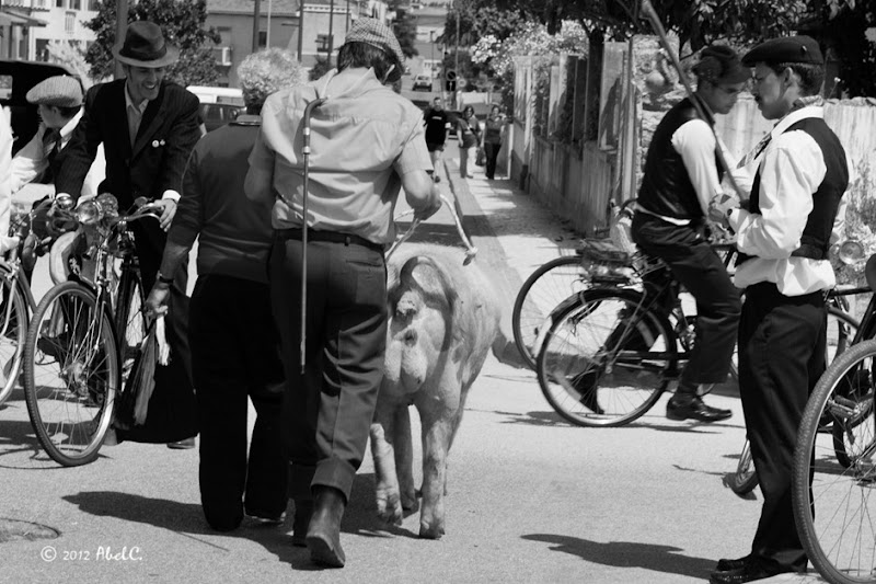 DSC_3203bw