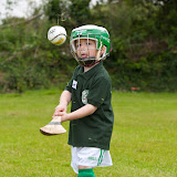 Camp Ciar&Atilde;&iexcl;n 2012