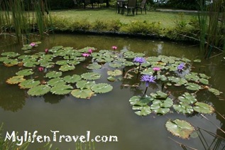 IMG_9823 IMG_9823