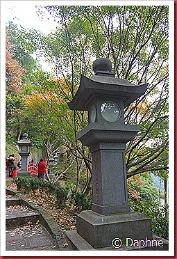 IMG_6772 IMG_6772