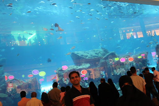 Dubai+mall+aquarium+diving