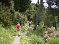 AMALFI - LANDSCAPE WALKERS & FOREST