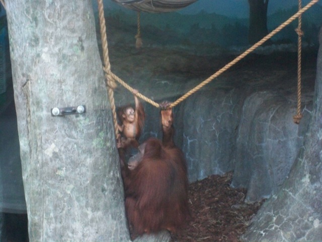 [baby03%255B2%255D.jpg]