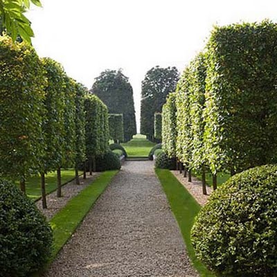 [GARDEN998SSD%255B5%255D.jpg]