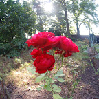 foto (20).JPG