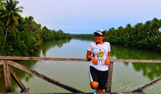 IMG_0457 IMG_0457
