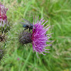 dsc01078.jpg