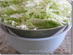 cabbage drains for coleslaw cabbage drains for coleslaw