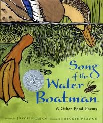 [WaterBoatman4.jpg]