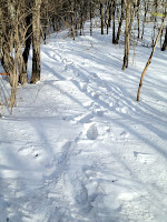 IMG_0423.jpg Photo