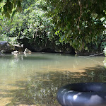 DSC_0697.JPG