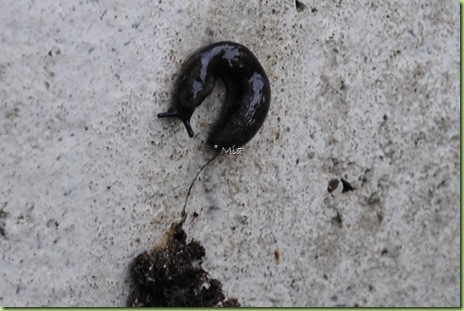 DSC_0026 DSC_0026