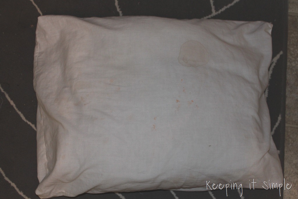 [no%2520sew%2520pillow%2520%25281%2529%255B11%255D.jpg]