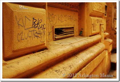IMG_0828 IMG_0828