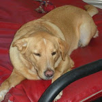DSCN5079.jpg