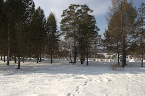 DSC_0097.jpg