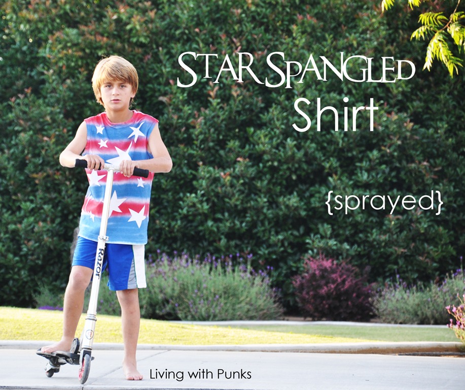 [starsandstripesheader24.jpg]
