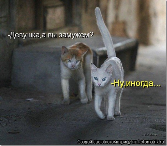 970448 970448