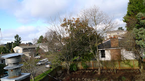 P1010762.JPG