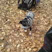 2013-03-30 15.00.40.jpg