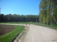 DSCN5944.JPG Photo