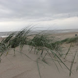 DSC02542.JPG