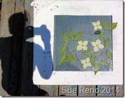 Kousa Dogwood, a work in progress by Sue Reno, Image 2