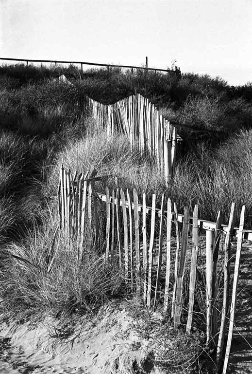 [Sand-Dune-Fencing-7%255B9%255D.jpg]