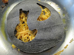 Cat and moon cut outs in blue corn tortilla.