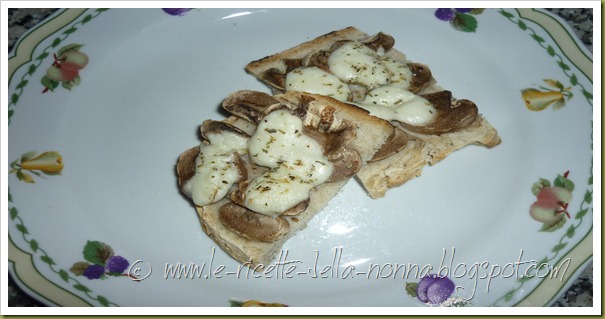 Crostini con funghi. mozzarella e origano (7)