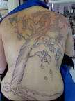 DSC0000220.jpg